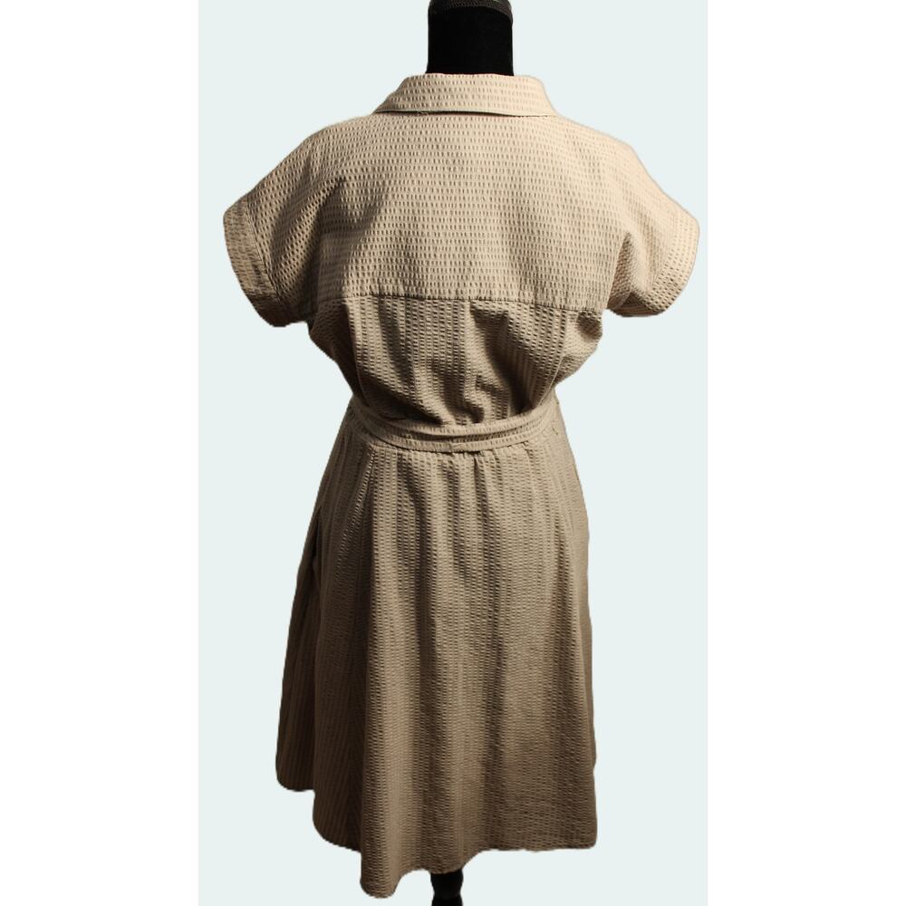 Chaps Women's Cream Seersucker Belted Shirt Dress Size 12 Short Sleeve - Picture 3 of 13